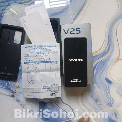 VIVO V25 5G